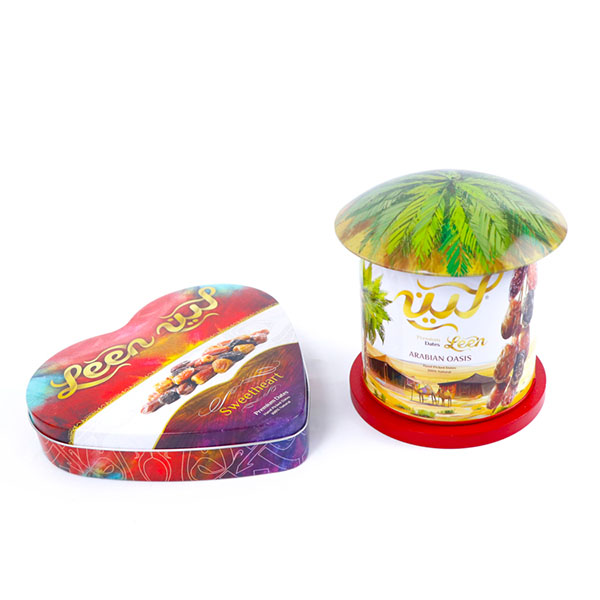 House Shape Tin Box