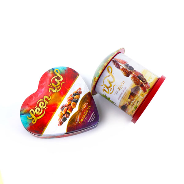 House Shape Tin Box
