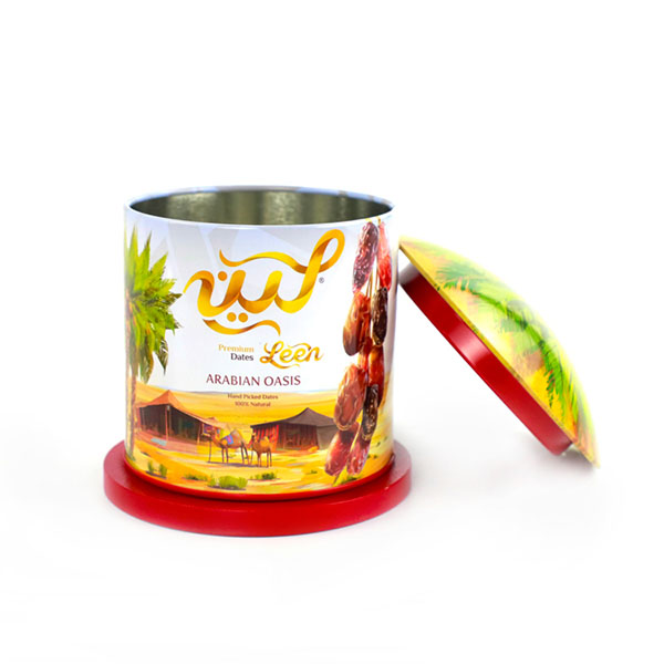 House Shape Tin Box
